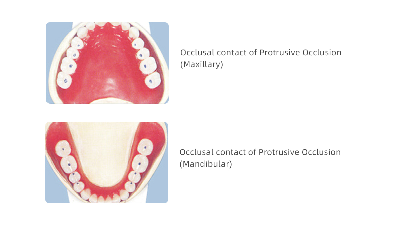 dental material suppliers