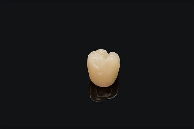 artificial denture material